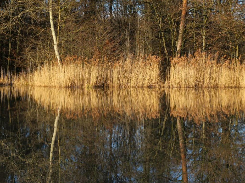 Landpension Wachtkopf Vaihingen an der Enz Exterior foto