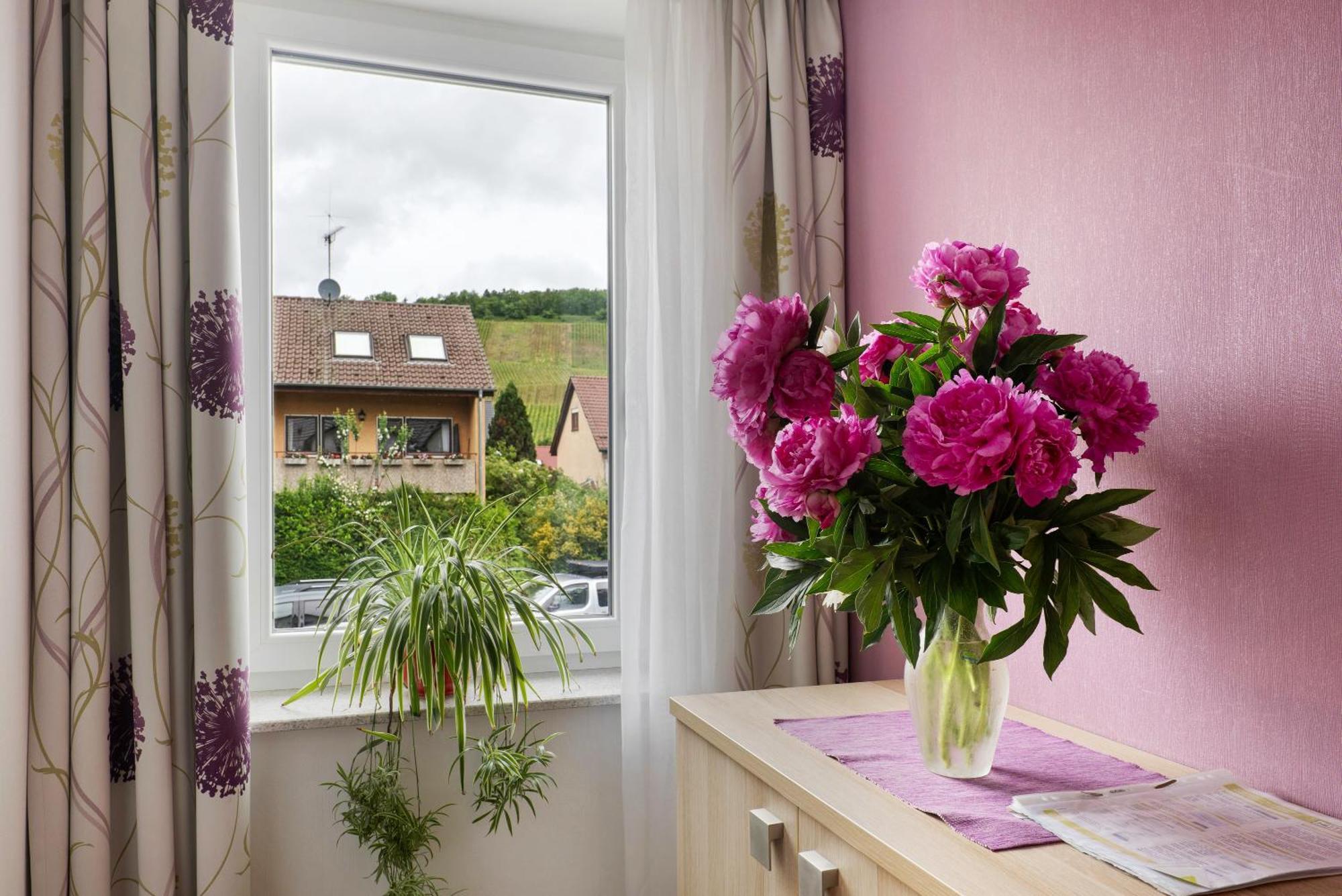 Landpension Wachtkopf Vaihingen an der Enz Exterior foto